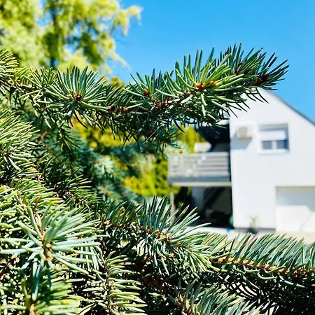 Dom wakacyjny Maria Full House *