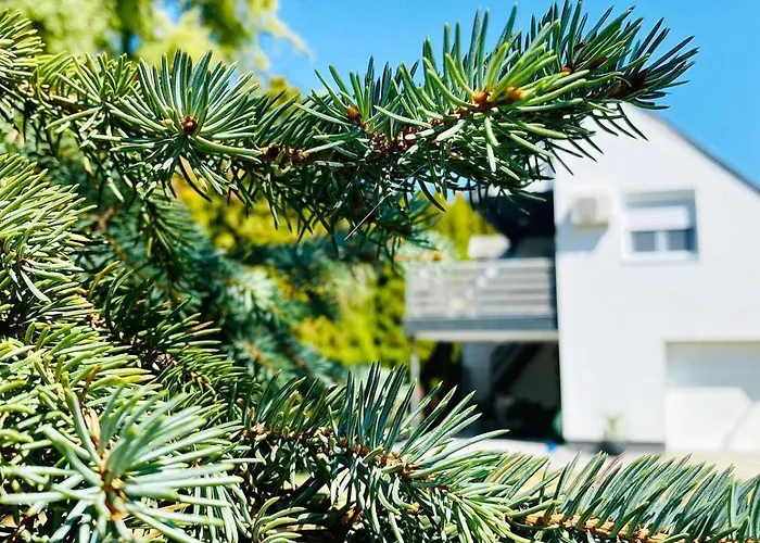 בית נופש Maria Full House *